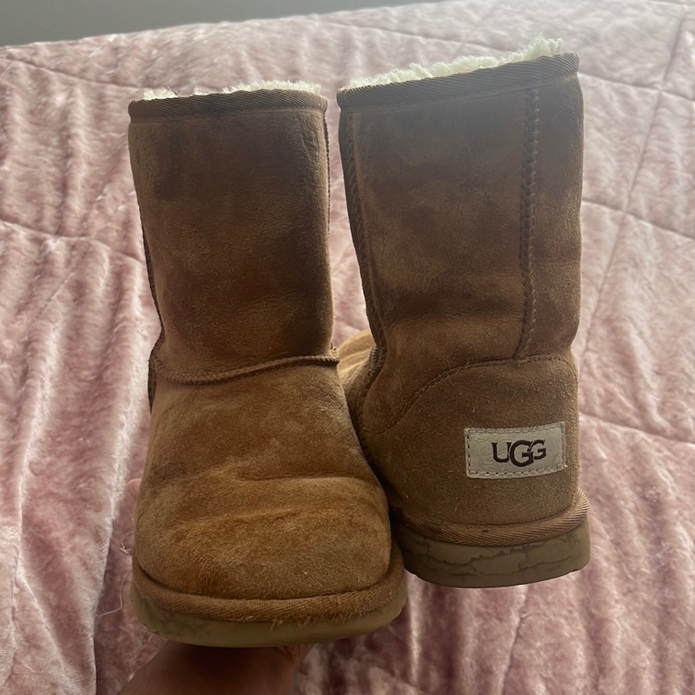 Chestnut Ugg boots